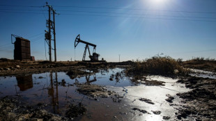 La OPEP proyecta un alza de la demanda de petr&oacute;leo en 2025