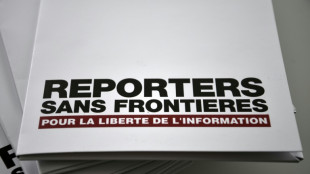 Journalistes tu&eacute;s &agrave; Gaza: op&eacute;ration de RSF dans la presse internationale
