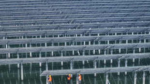 Las emisiones de CO2 en China bajaron en el primer trimestre