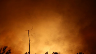 Milhares de pessoas afetadas por inc&ecirc;ndios devastadores na It&aacute;lia, Fran&ccedil;a e Espanha