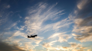 R&eacute;tablissement spectaculaire en vue pour les compagnies a&eacute;riennes