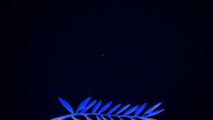 Filmes em competi&ccedil;&atilde;o no Festival de Cannes