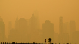 Incendios en Canad&aacute; cubren Nueva York de una niebla apocal&iacute;ptica