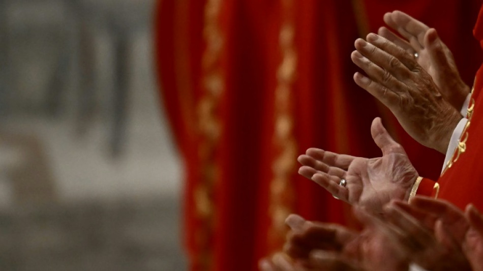 'N&atilde;o haver&aacute; um Francisco II', prev&ecirc; vaticanista &agrave;s v&eacute;speras do conclave