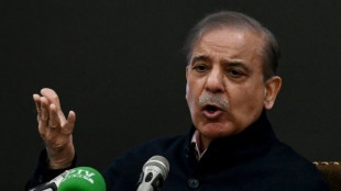 Shehbaz Sharif: Pakistan's compromise candidate prime minister