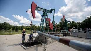 Il petrolio apre in rialzo a New York a 66,48 dollari