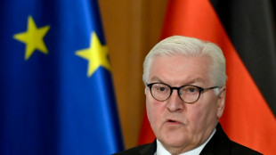 Steinmeier ruft zu Unterst&uuml;tzung f&uuml;r Erdbebenopfer in T&uuml;rkei und Syrien auf