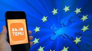 La UE acusa al gigante del comercio electr&oacute;nico Temu de vender productos "ilegales"