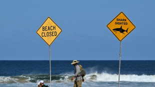 Australia fends off shark bites with new tech and old