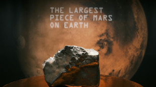 Auction of world's largest Mars meteorite sparks ownership debate