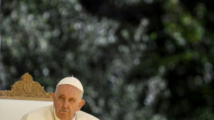 Papst fordert "ganzheitliche &Ouml;kologie" als L&ouml;sung f&uuml;r globale Probleme
