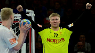 Handball-EM: D&auml;nemark und Schweden im Halbfinale
