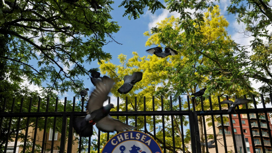 Gr&uuml;nes Licht f&uuml;r Chelsea-Verkauf: Regierung stimmt zu