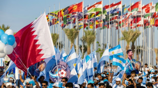Arab fans' World Cup fever cooled by Qatar costs