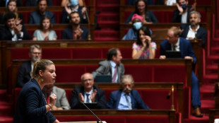 Motion de censure: "clarification" pour LFI, "proc&egrave;s d'intention" pour Borne