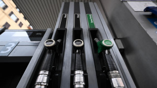 Codacons, alla pompa prezzi ancora non risentono dei tagli, Mef e Mimit chiariscano