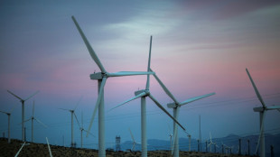 La producci&oacute;n de energ&iacute;a renovable creci&oacute; un 9% en el mundo en 2021