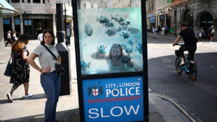 Banksy fecha semana que transformou Londres em zool&oacute;gico com piranhas