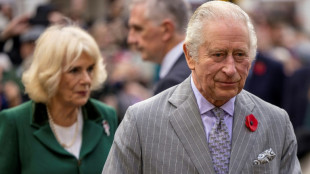 Tras la postergaci&oacute;n de viaje a Francia, Carlos III realizar&aacute; su primera visita de Estado a Alemania