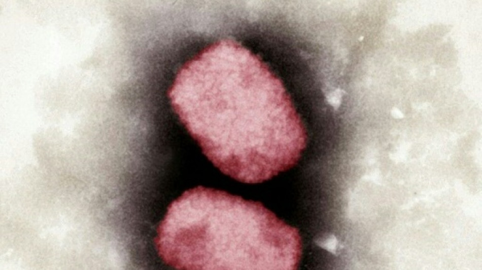 WHO: Weltweit 780 F&auml;lle von Affenpocken au&szlig;erhalb von &uuml;blichem Verbreitungsgebiet