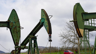 Il petrolio chiude in rialzo a New York a 94,48 dollari