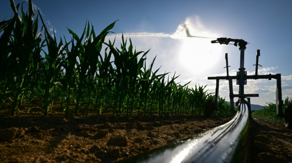 La canicule s'intensifie, 12 d&eacute;partements en vigilance rouge
