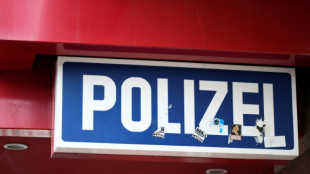 Ifo: Mehr Autodiebst&auml;hle und Einbr&uuml;che nach Schlie&szlig;ung kleiner Polizeiposten