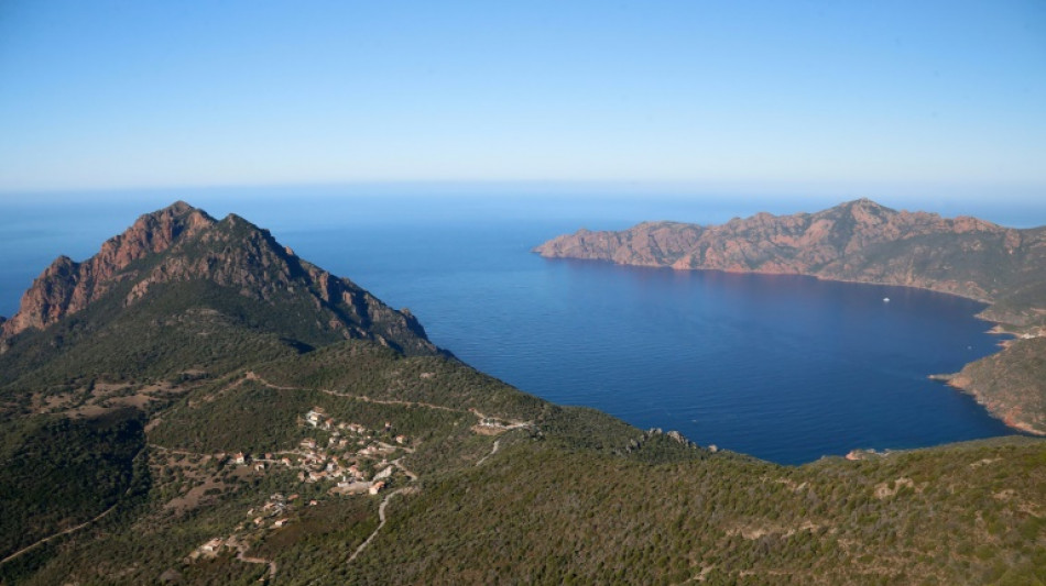 Mesures pour prot&eacute;ger le balbuzard p&ecirc;cheur sur la c&ocirc;te occidentale de la Corse