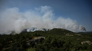 Grecia enfrenta el "incendio m&aacute;s grande del que se tenga registro en la UE"