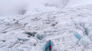 Climate action could save half of world's vanishing glaciers, says study