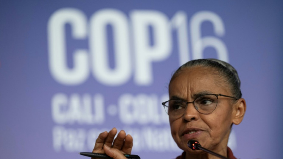 Tens&atilde;o marca reta final da COP16, em Cali