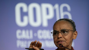 Tens&atilde;o marca reta final da COP16, em Cali