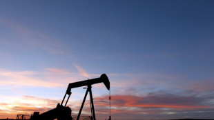 La consommation mondiale de p&eacute;trole devrait l&eacute;g&egrave;rement baisser en 2030, une premi&egrave;re depuis le Covid