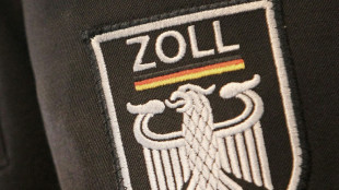 Zoll findet tausende verbotene Springmesser und Wurfsterne in Lastwagen in Stralsund