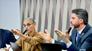 La ministra brasileña de Ambiente abandona el Congreso tras una bronca con unos senadores