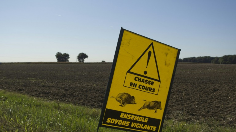 Cher: six chasseurs interpell&eacute;s pour "des faits de braconnage d'une particuli&egrave;re gravit&eacute;"
