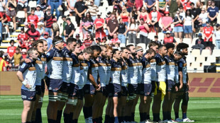 Brumbies not getting carried away by emphatic Super Rugby start