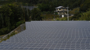 Jap&oacute;n quiere que las renovables sean su principal fuente de energ&iacute;a para 2040