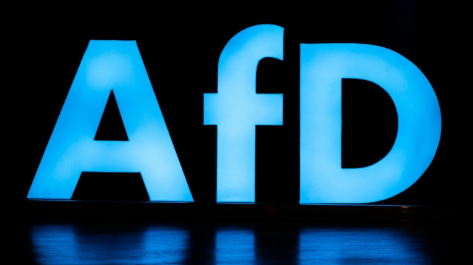 "Am Halsband des Kreml": Gegen die AfD werden Spionagevorw&uuml;rfe laut
