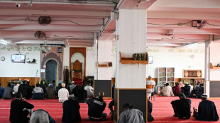 Francia investiga la aparici&oacute;n de 9 cabezas de cerdos frente a mezquitas