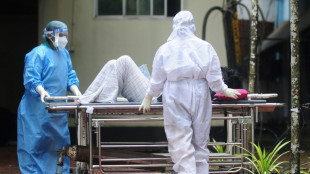 Inde: deux cas de virus Nipah recens&eacute;s, situation "sous contr&ocirc;le" selon les autorit&eacute;s