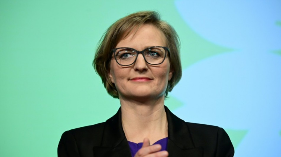 Brantner fordert von Bundesregierung Stopp von Waffenexporten nach Israel