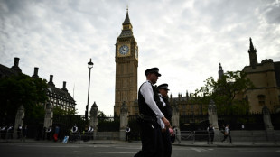 Deux policiers poignard&eacute;s dans le centre de Londres, un homme arr&ecirc;t&eacute; (police)