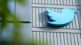 Musk k&uuml;ndigt werbefreies Twitter-Abonnement an