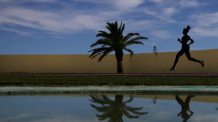 Me engana que eu gosto? Ap&oacute;s fracasso, Fyre Festival quer outra chance