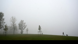 Streit um Kosten f&uuml;r Assistenzhundausbildung: Kl&auml;gerin verliert gegen Krankenkasse