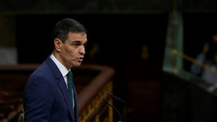 Espagne: S&aacute;nchez annonce un plan national pour doper l'industrie de d&eacute;fense