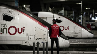 SNCF: des trains &agrave; l'heure malgr&eacute; la gr&egrave;ve