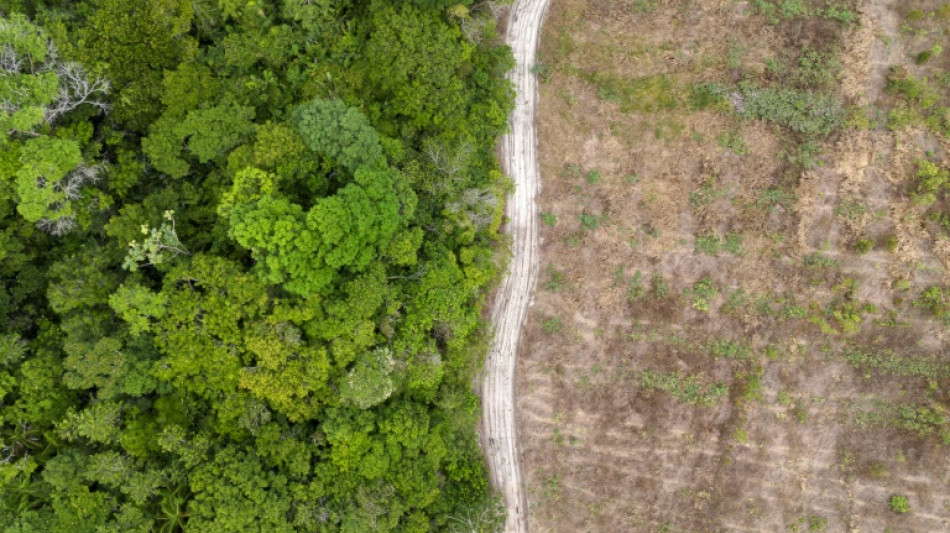 Pa&iacute;ses ricos y en desarrollo retoman el pulso sobre la biodiversidad en Roma