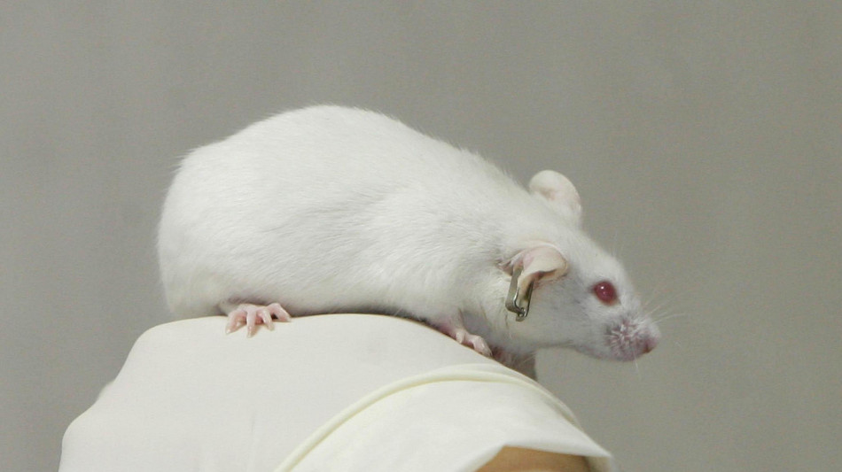 I viventi emettono una debole luce che svanisce con la morte